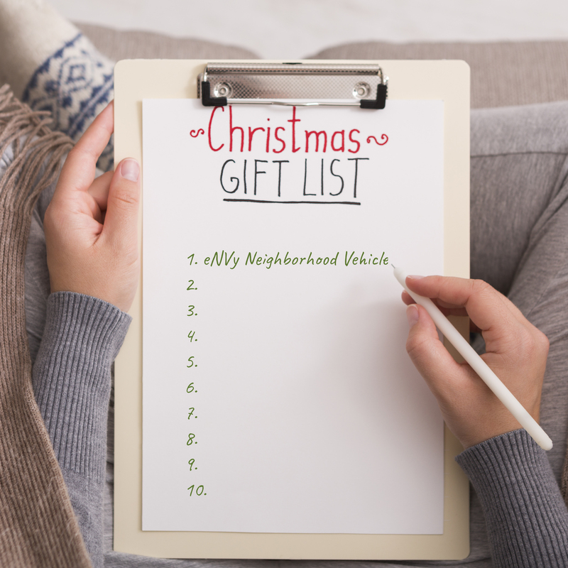 Envy Christmas gift list