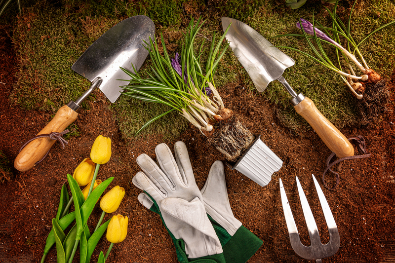 Gardening tools sitting in dirt with plants
